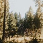 A-frame cabin nestled in a dense forest.